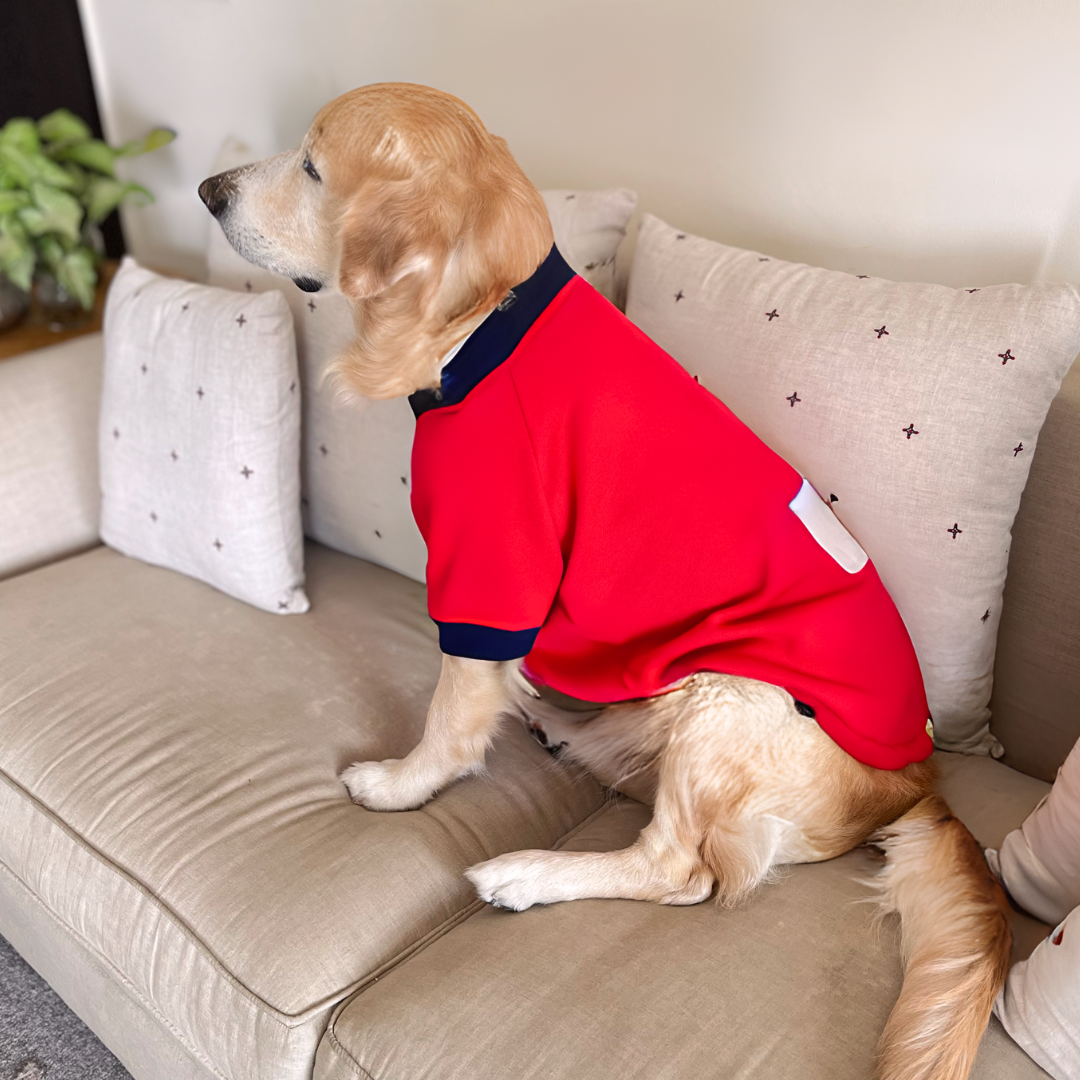 Sweatshirt hotsell dog bed