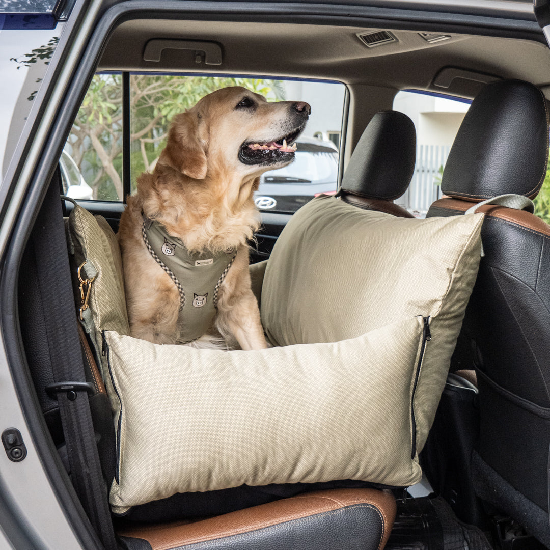 The Ultimate Guide to Dog Travel Beds: Comfort for Your Canine Companion