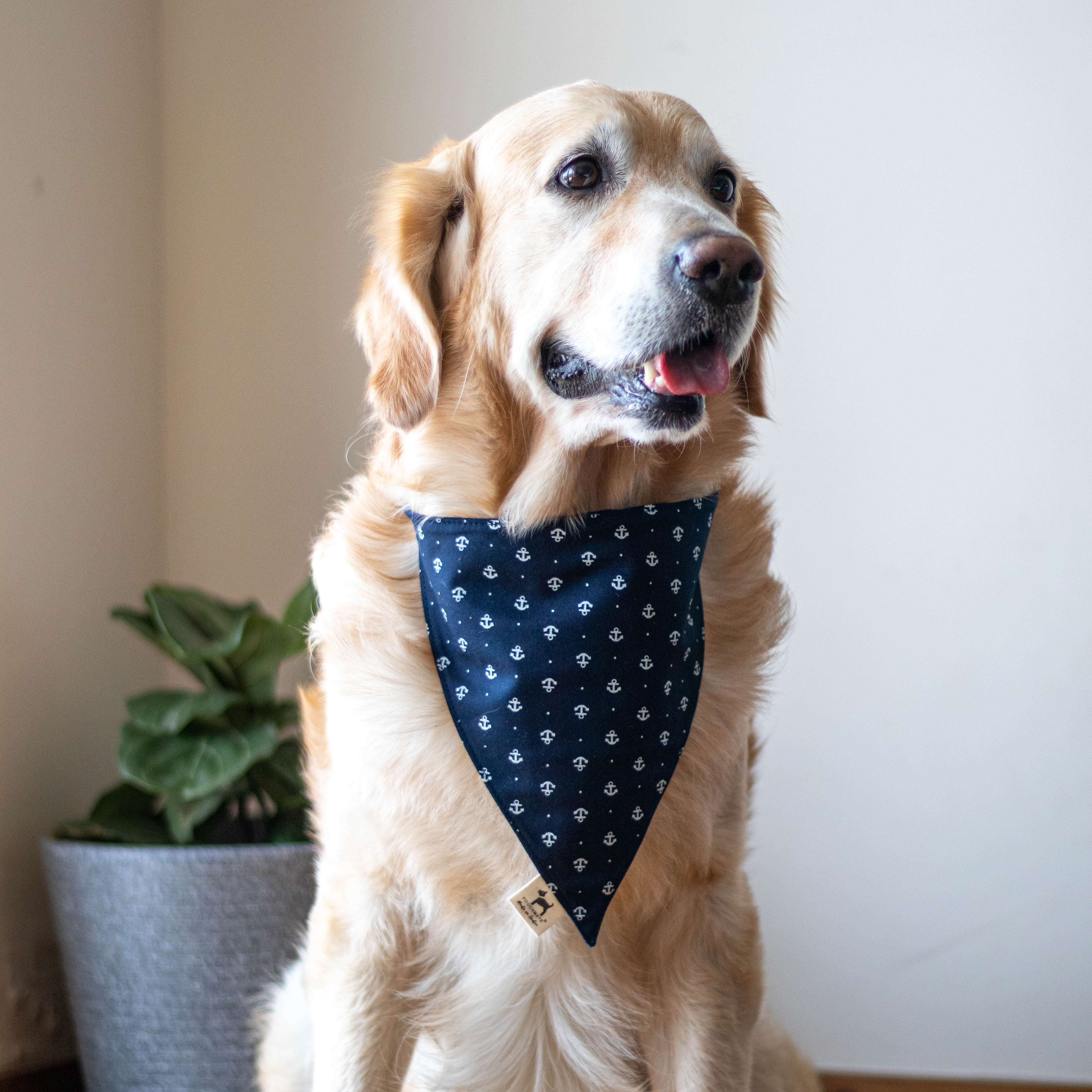 Anchor on sale dog bandana