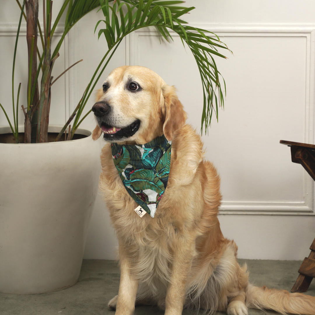 Pet Goods Dog Bandana