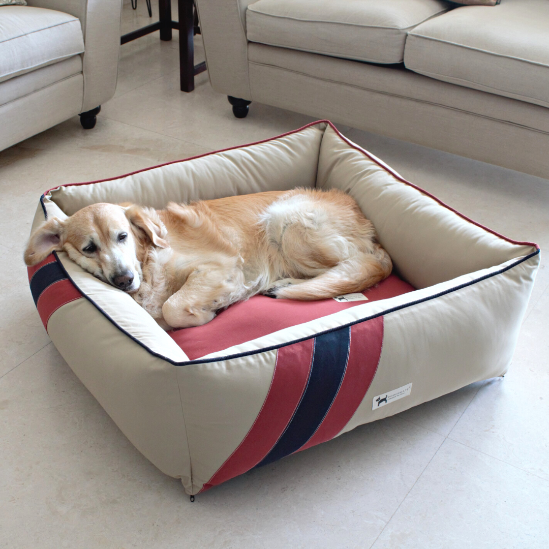 Creative store dog beds