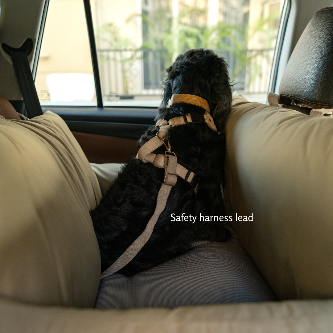 Dog Car Seats online India | Dog Travel beds online India