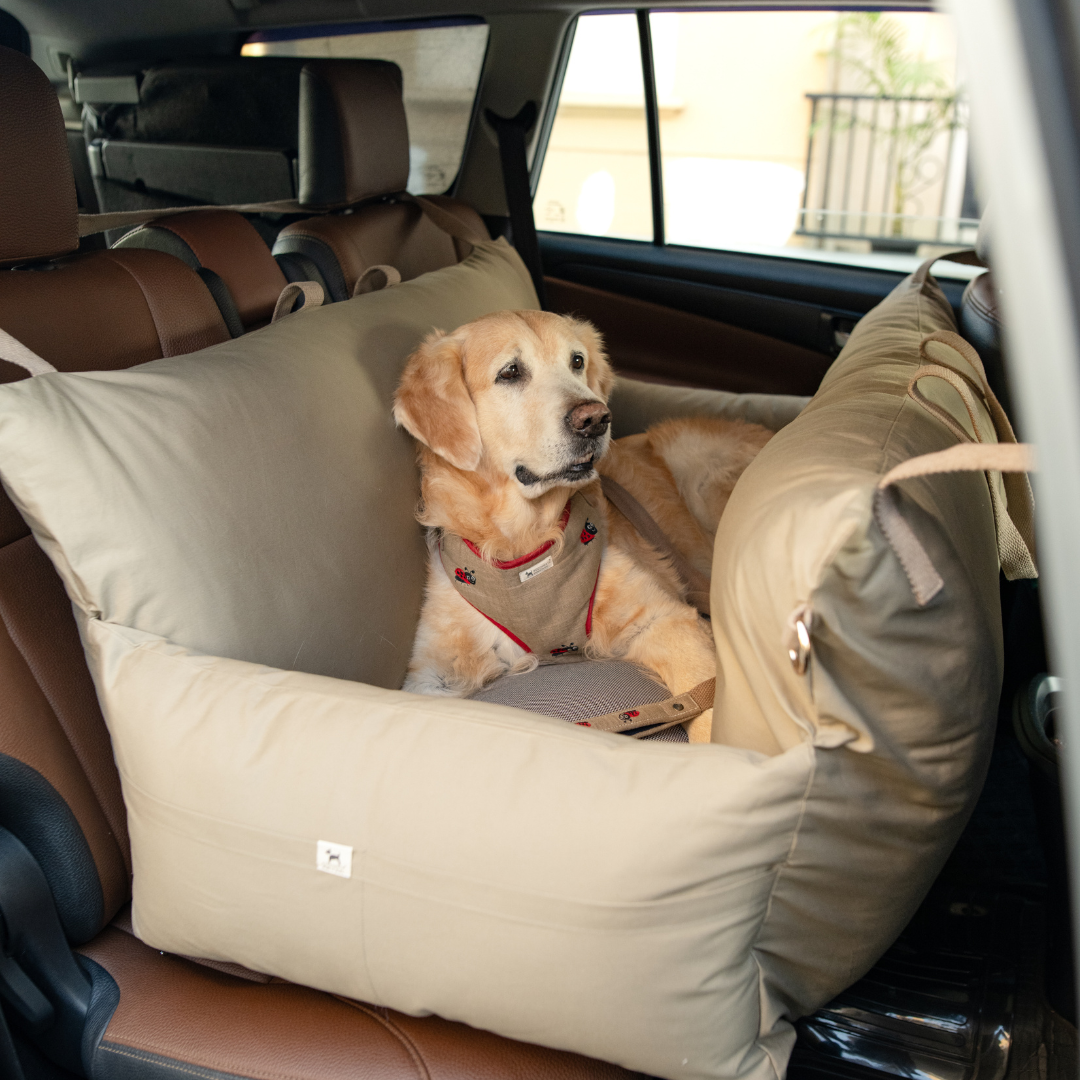 Car seat for large dogs online India | Travel dog beds india