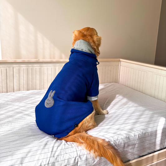 Winter clothes for dogs | Dog Sweater for winter