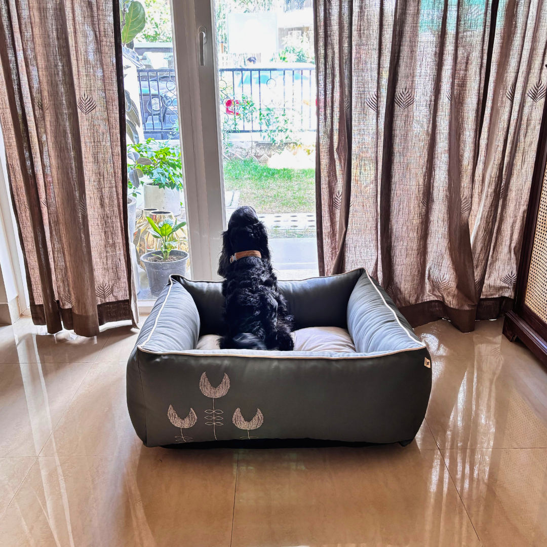 Medium Dog Beds India | PoochMate Dog Beds India