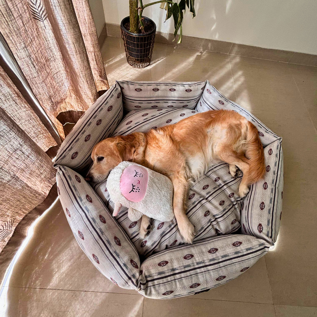 Washable Cotton Dog beds India | PoochMate Dog Beds