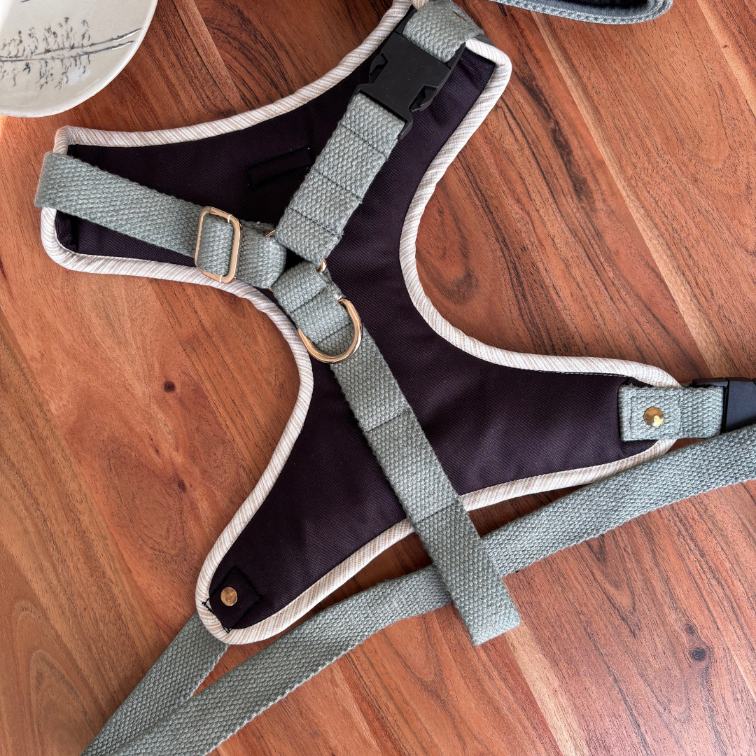 PoochMate Jade Green Dog Harness & Lead Set