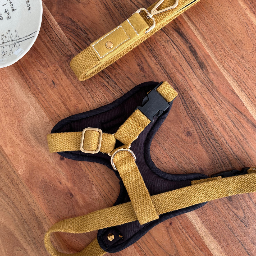 PoochMate Mustard Kitties Dog Harness & Lead Set