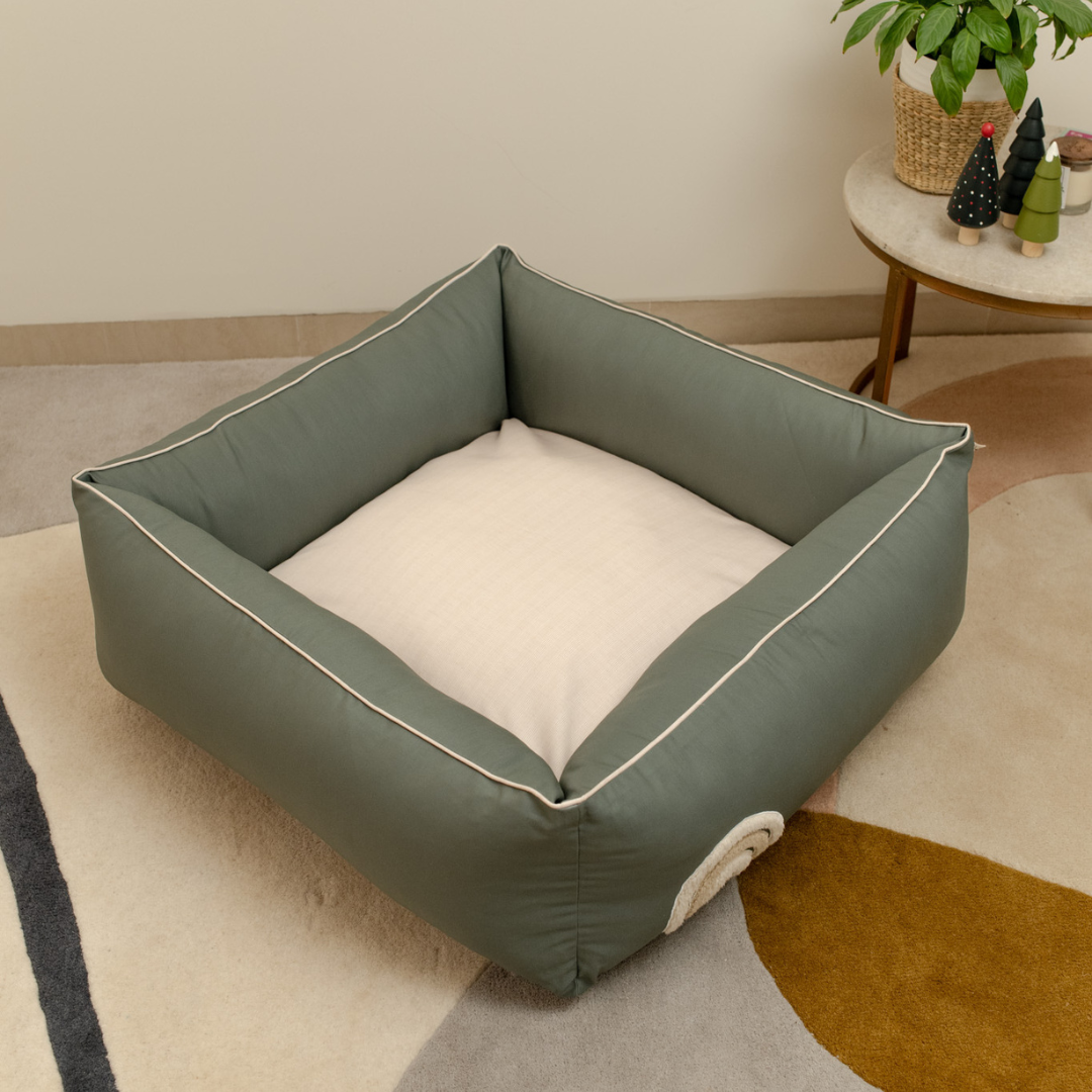 Large dog beds online India | large dog beds with washable covers