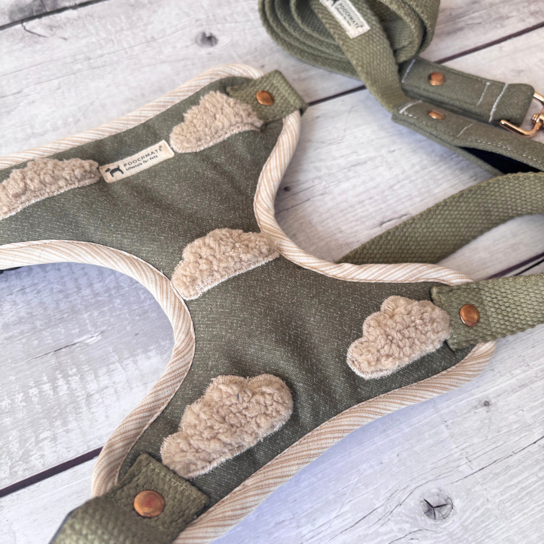 Dog Harness & Leash set India | Dog Harness online India