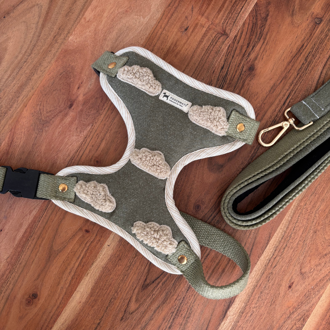 PoochMate Olive Cloud Dog Harness & Lead Set