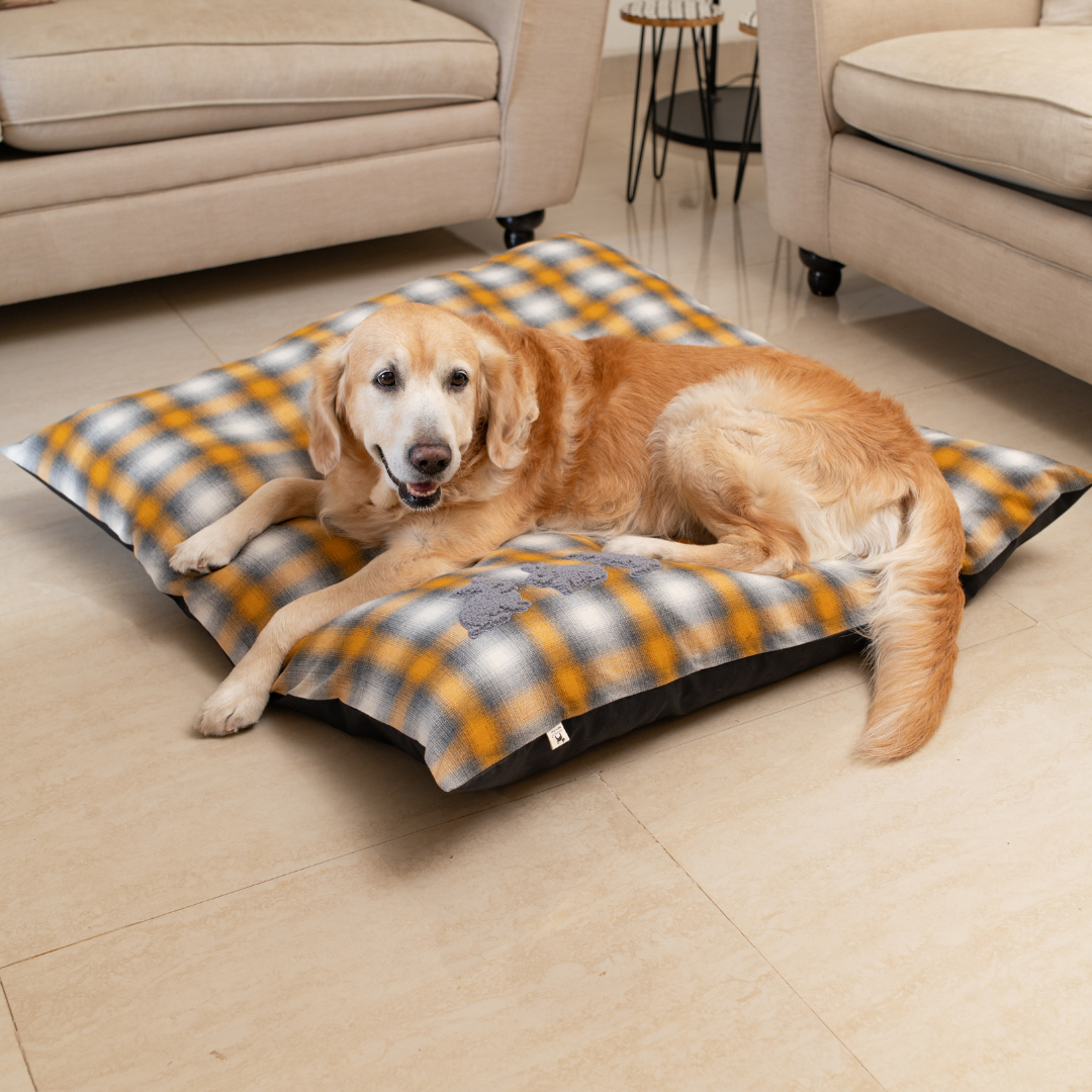 Flat Dog Beds online India | Dog beds with removable covers 