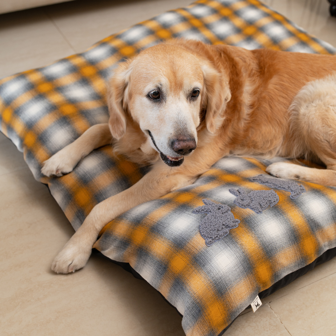 Flat Dog beds with washable covers | Cotton Dog Beds online India