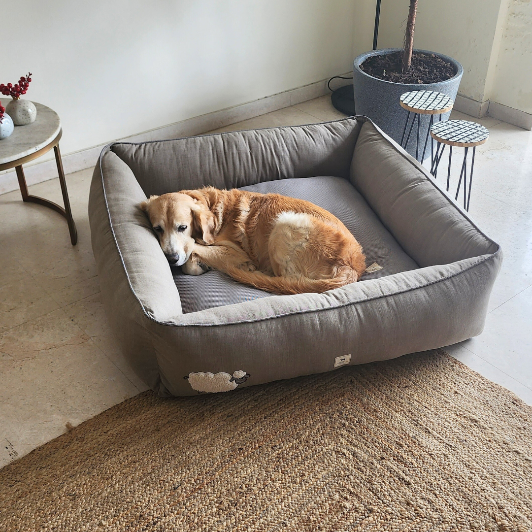 Pet bed and blanket | Dog Bed with blanket India