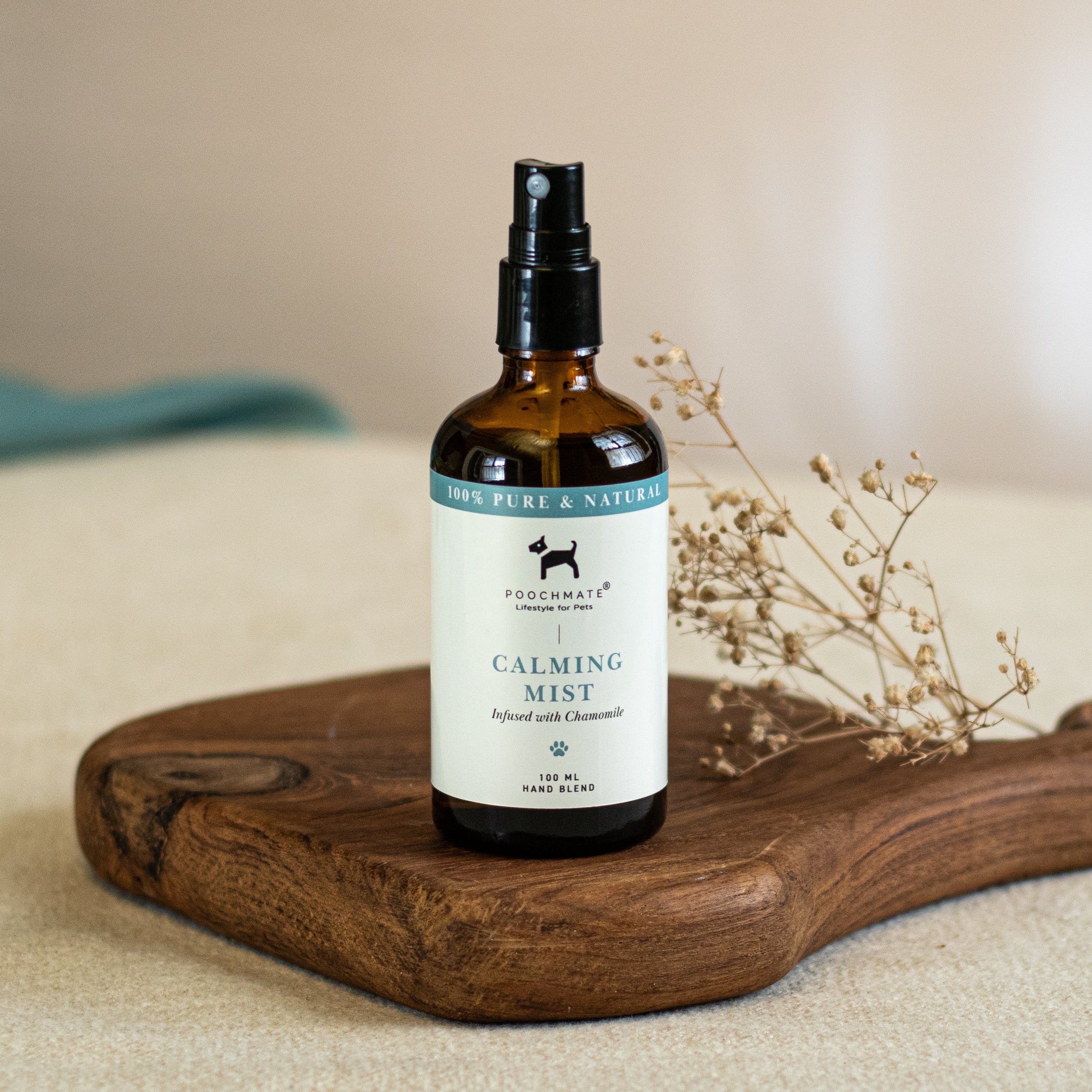 Calming lotion clearance for dogs