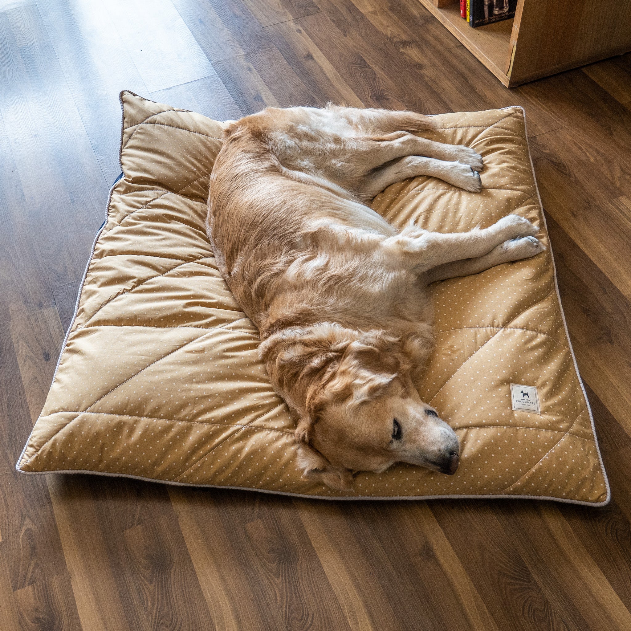 Large flat 2024 dog bed