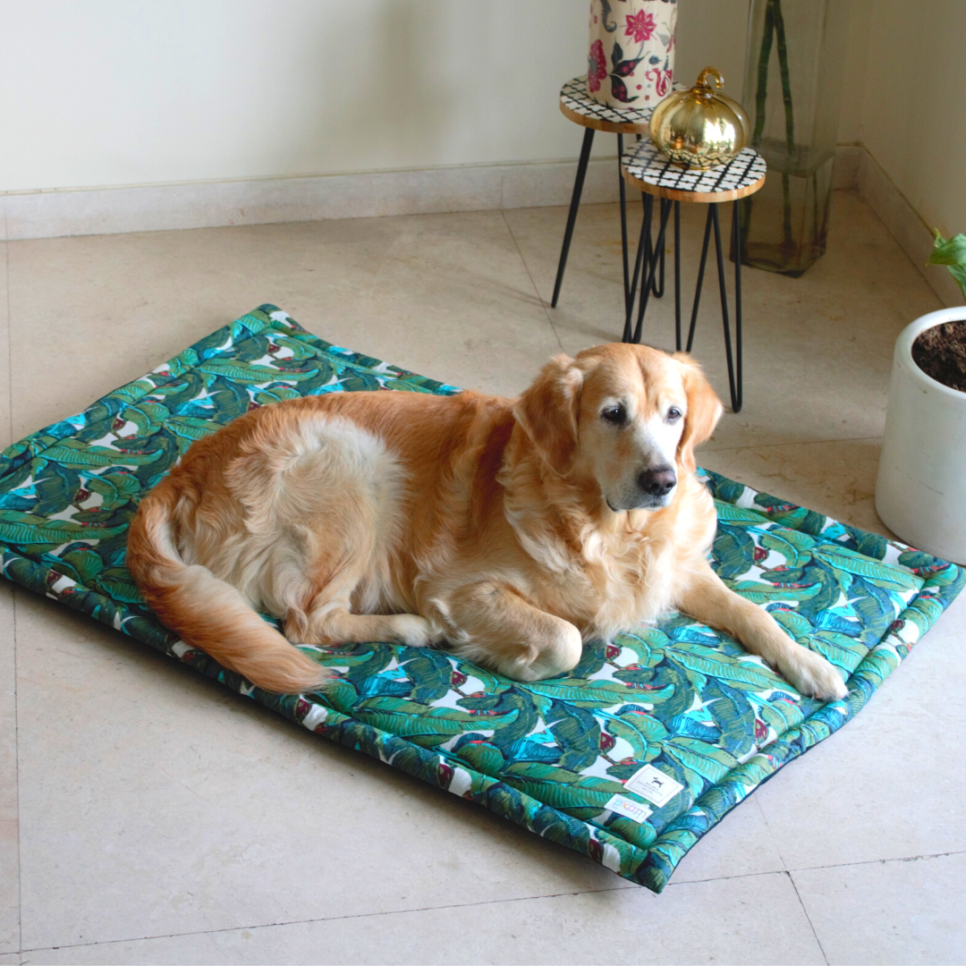 Washable Crate Mats for Pets | Dog Mats online India