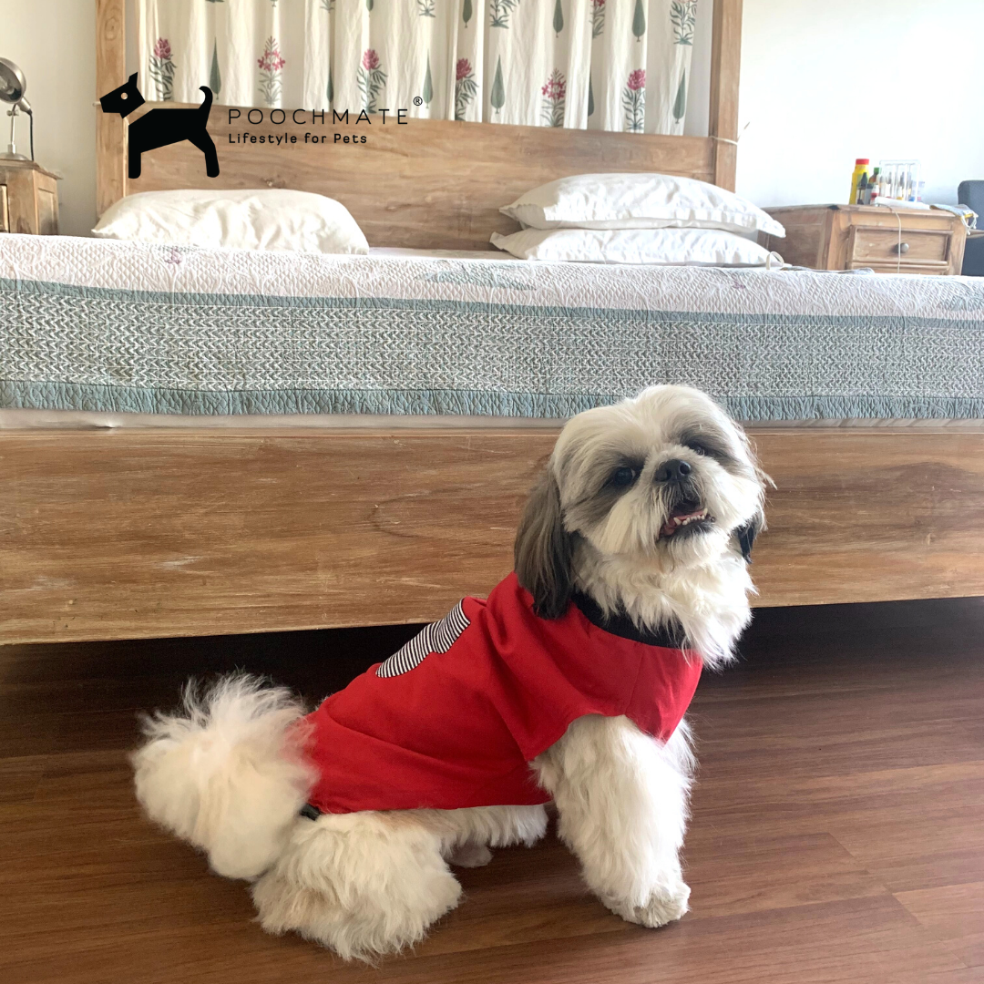 Dog Dress for Small Dogs: Flannel Snowflake Frock for Shihtzu, Lhasa A –  For The Fur Kids